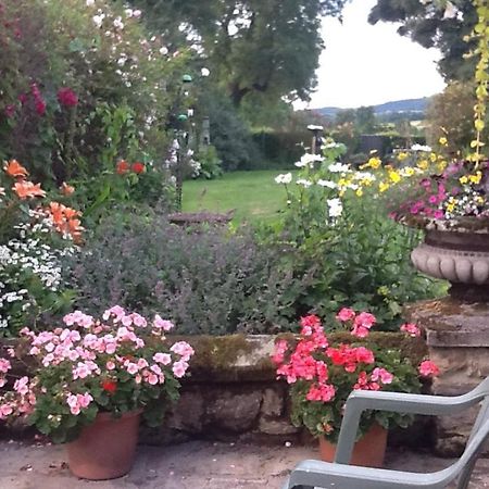 Swan Cottage Coxwold Bagian luar foto
