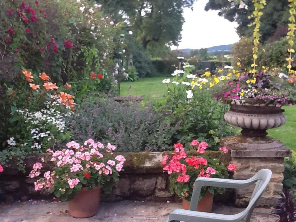 Swan Cottage Coxwold Bagian luar foto